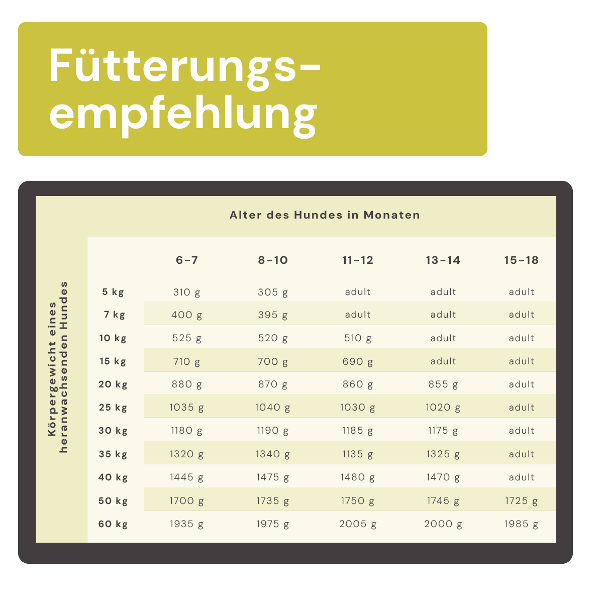 Fütterungsempfehlung Juniormenü Rind stückig