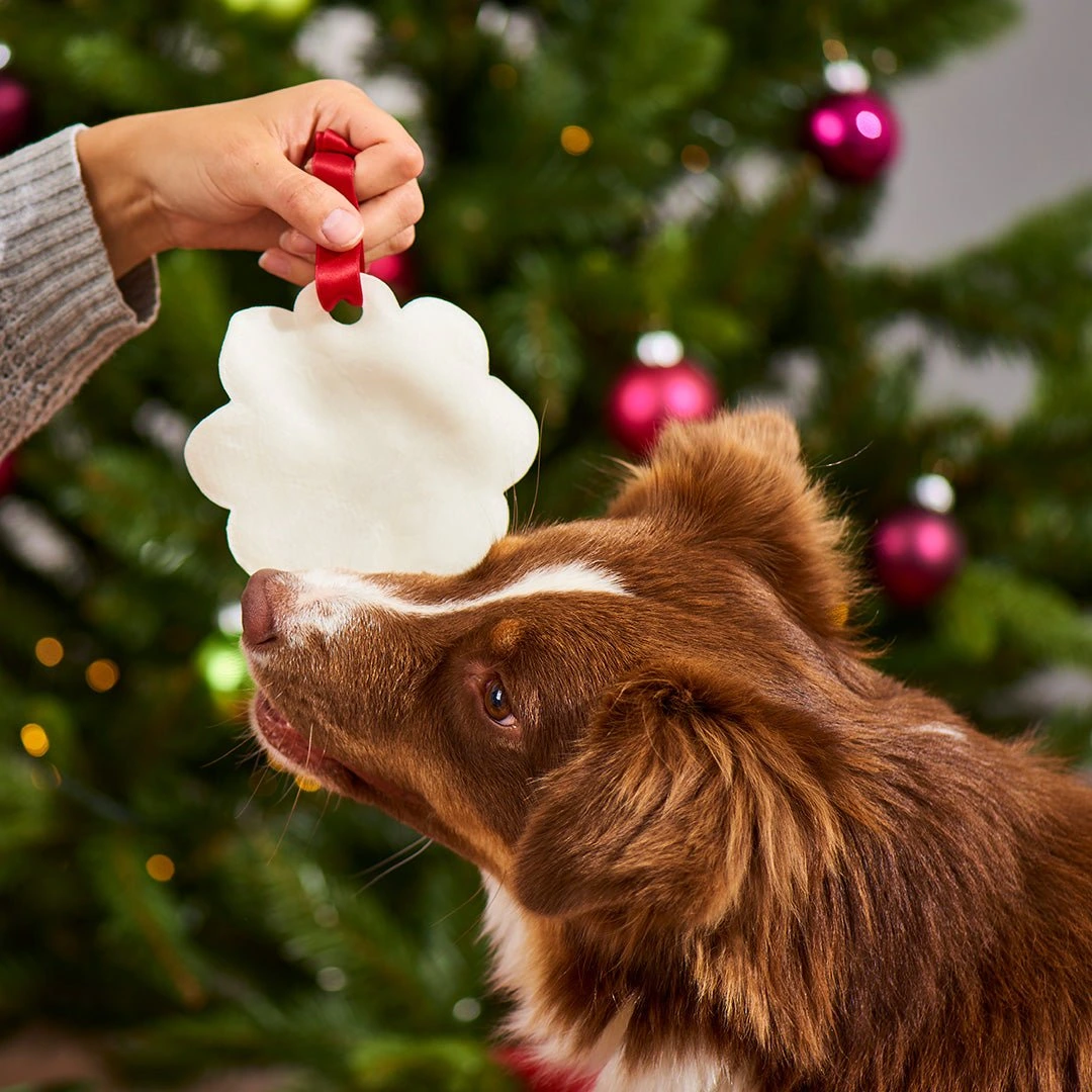 Graf BARF von Nutriment Lebkuchen fuer Hunde